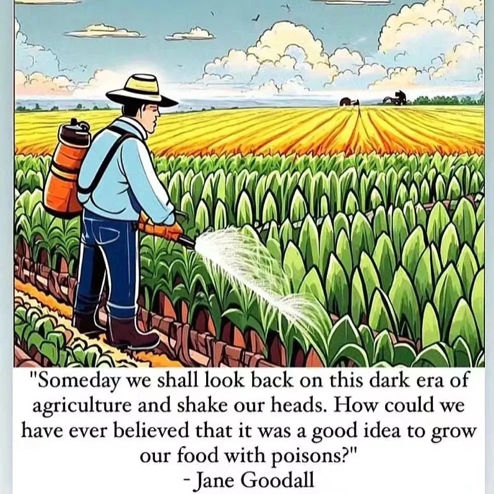 Industrial #agriculture is insanity.