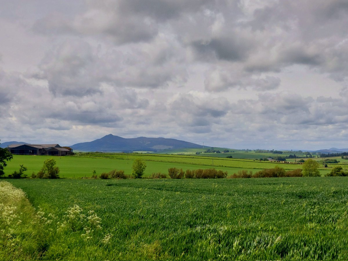 bellerina12's tweet photo. Out on the road visiting abattoirs and checking in with the team of #vets and #MHIs.  Beautiful views in #Aberdeenshire of #Bennachie  and fantastic coffee from Dreamy Goat 🐐 in #Inverurie! #teamvet https://t.co/3LsVza3jFR