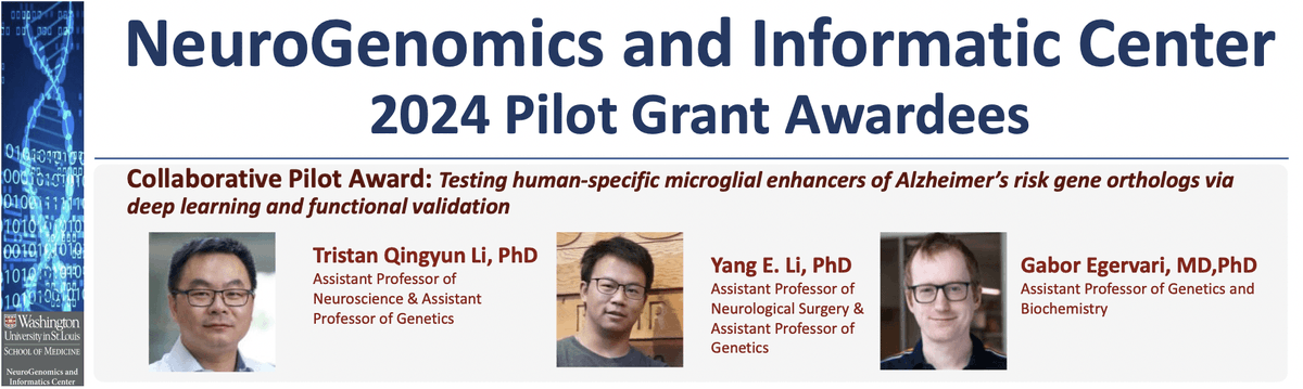 Gabor Egervari (@gaboregervari) on Twitter photo Excited to team up with <a href="/YangEricLi/">Yang Eric Li</a> and <a href="/TristanLi_Lab/">Tristan Qingyun Li</a> to study microglial enhancers in Alzheimer's disease. We are so grateful for the generous support from <a href="/Neuro_Genomics/">NeuroGenomics and Informatics Center</a>! Can't wait to get started! Excited to team up with <a href="/YangEricLi/">Yang Eric Li</a> and <a href="/TristanLi_Lab/">Tristan Qingyun Li</a> to study microglial enhancers in Alzheimer's disease. We are so grateful for the generous support from <a href="/Neuro_Genomics/">NeuroGenomics and Informatics Center</a>! Can't wait to get started!