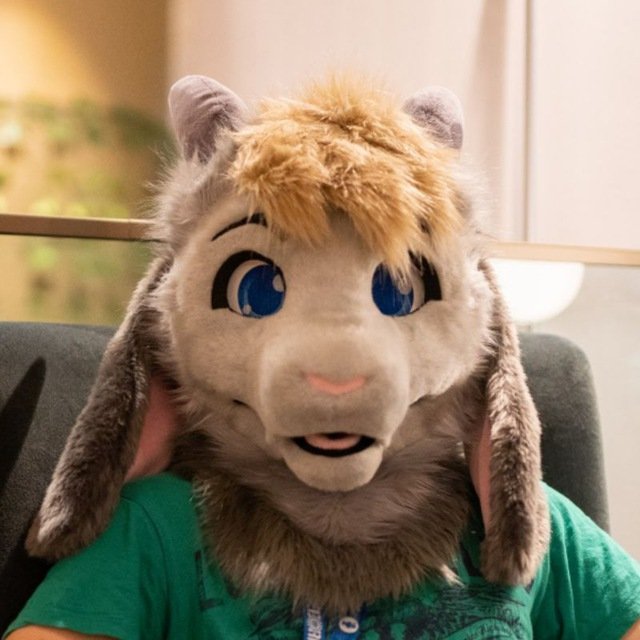 DuneBarks's tweet image. ‼️ Missing Fursuit ‼️ 

Please share

If anyone at ConFuzzled today between 15.00 and 18.00 may have seen this suit, it has been taken from the little lounge.

It may have been picked up by mistake as it was in a squarish black backpack. We are looking for it
Owner is @Geferon38