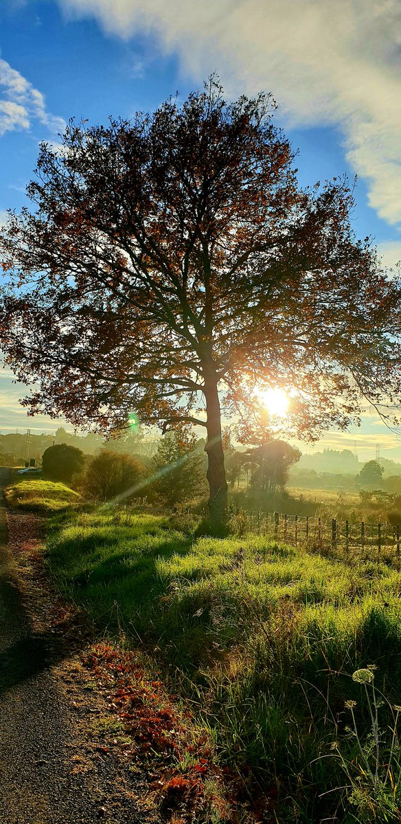 stariijabi's tweet photo. Good morning.!
#wednesdayMorning #lastweek #randomphoto #sunnyMorning #fresh #NZWeather #autumwinter https://t.co/XM7tvPhUP3