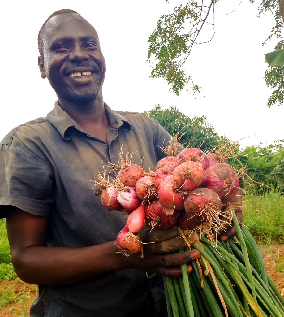 Farmers supported with access to the righ bundle of services and products are unstoppable. The potential for impact is enormous!

#farmersfirst