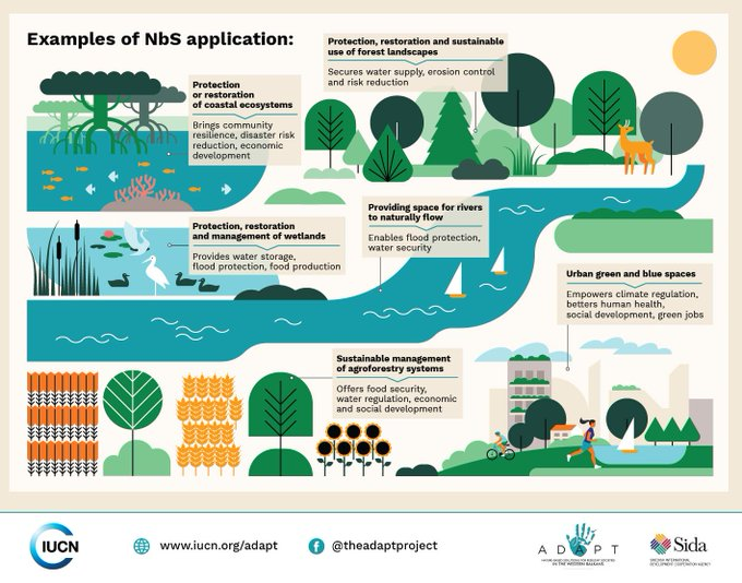 What are #NaturebasedSolutions and how can they provide long-term environmental, societal and economic benefits?

Learn more➡️shorturl.at/wyzAV

Via <a href="/IUCN/">IUCN</a>