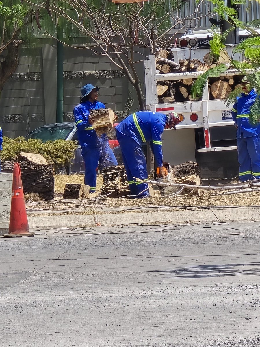 @AleGutierrez_mx Pues los pajaritos qué usan los árboles de casa dicen que no te creen