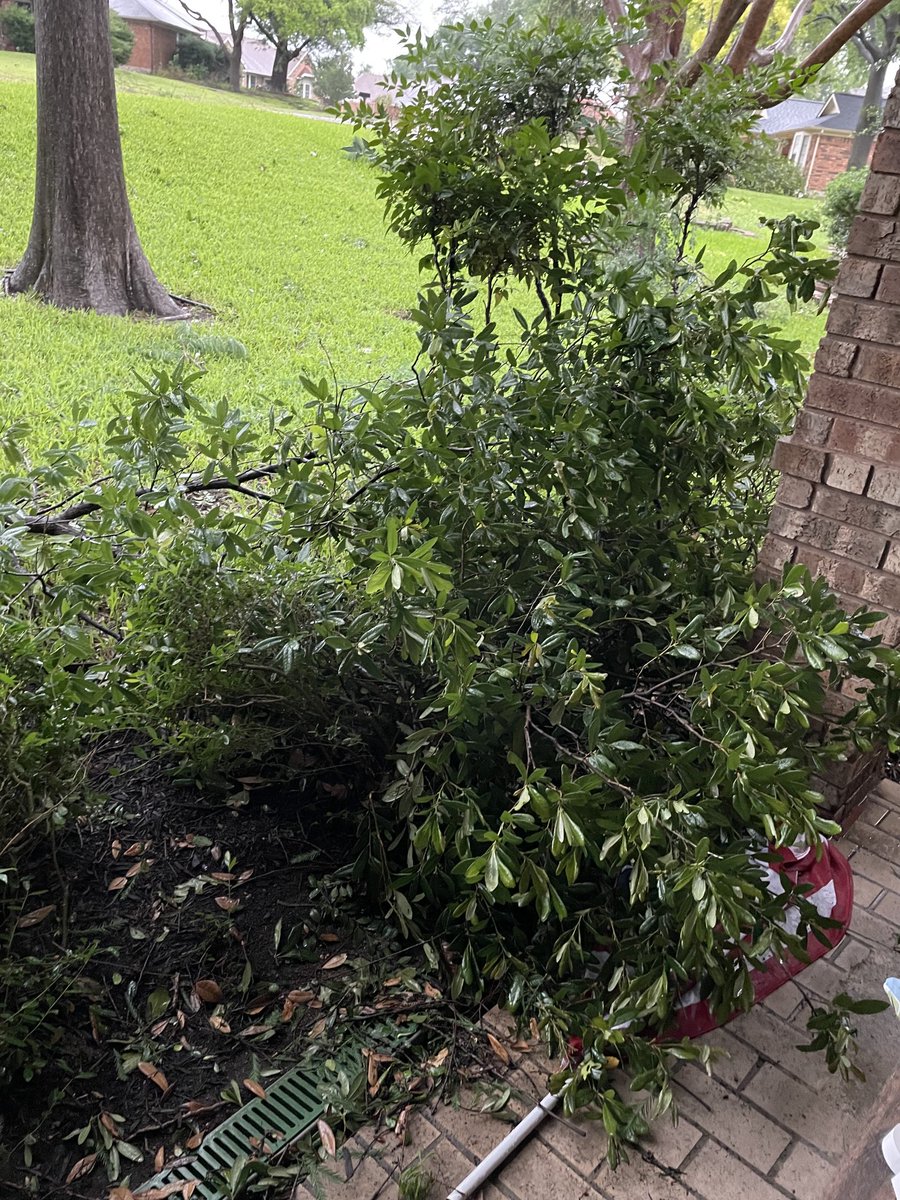 sparker71's tweet photo. ⁦@wfaaweather⁩ Storm damage in Carrollton https://t.co/5DiWiO8WlE