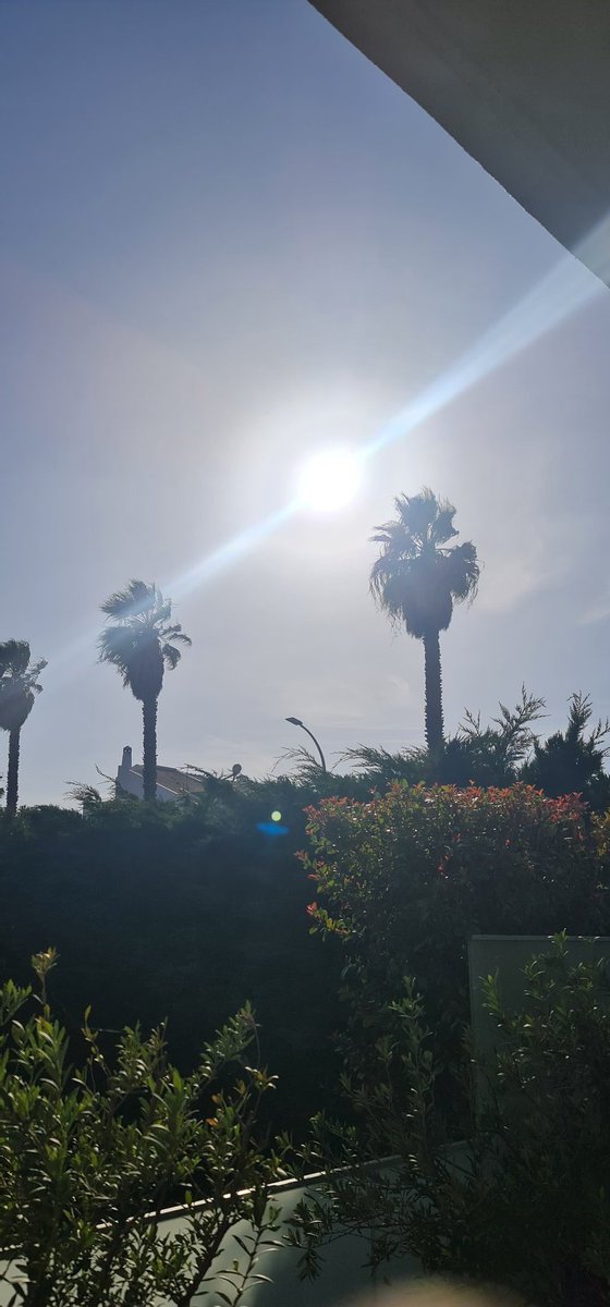 Shane Minham tweet media