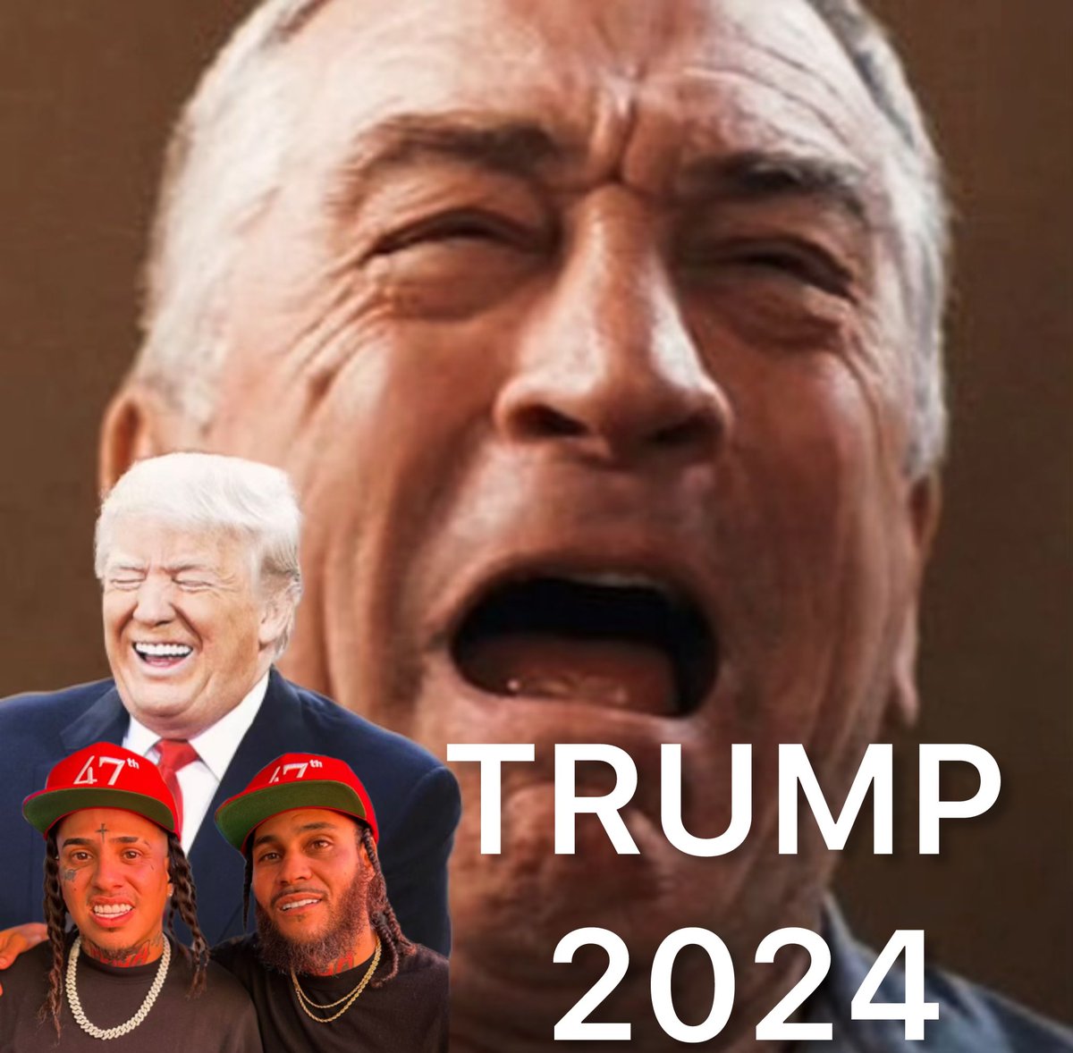 RT If You’re Voting Trump 2024