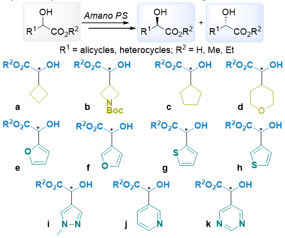 It took a while, but finally: our results on the synthesis and enzymatic resolution of mandelic acid analogs are just out in Tetrahedron!

sciencedirect.com/science/articl…

 #LetUkraineDefendItself #terroruzziMustDie

<a href="/EnamineLtd/">Enamine Ltd 🇺🇦</a> <a href="/KyivUniversity/">КНУ ім. Т. Шевченка</a> <a href="/ibopc_nas/">ІБОНХ НАНУ</a>