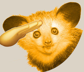 AyeAyeCoin is the first memecoin on Ethereum 🤯

Web: ayeayecoin.xyz

Chart: dexscreener.com/ethereum/0x78e…