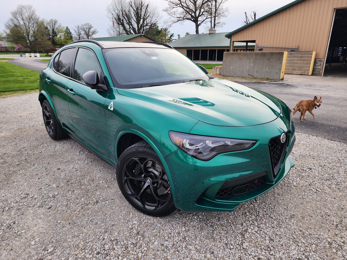 DenButerbaugh's tweet image. If you must have more than 500 HP to take the kids to soccer practice, @AlfaRomeoUSA can help. Thurs 7pm &amp;amp; Sat 8am @abc27News #PerformanceCars
