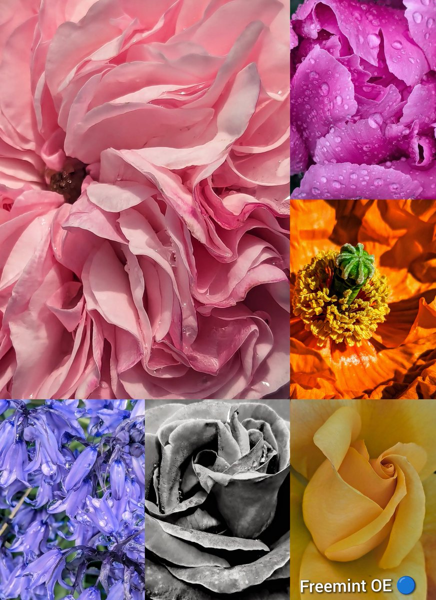 Luke_0x1's tweet image. zora.co/collect/zora:0…
My Freemints on Zora