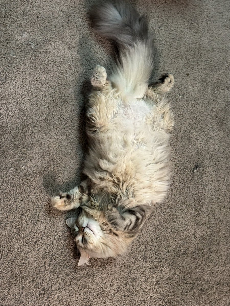 HiRiko/HUI tweet media