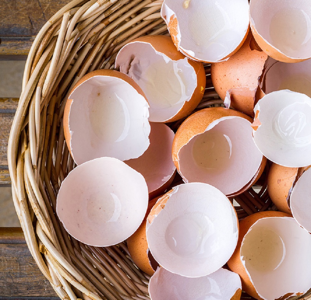 Did you know that there are many ways you can repurpose eggshells?!🥚 Head over to our blog for some great ideas on how to creatively repurpose your eggshells ➡️ bit.ly/3uWvoSV
.
.
.
#compost #sustainability #eggshells #upcycle #upcycling #zerowaste