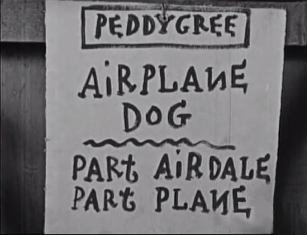 Love My Dog (1927). #SilentFilm