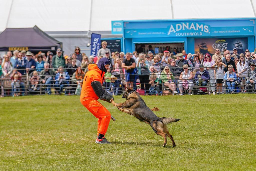 NS PoliceDogs tweet media