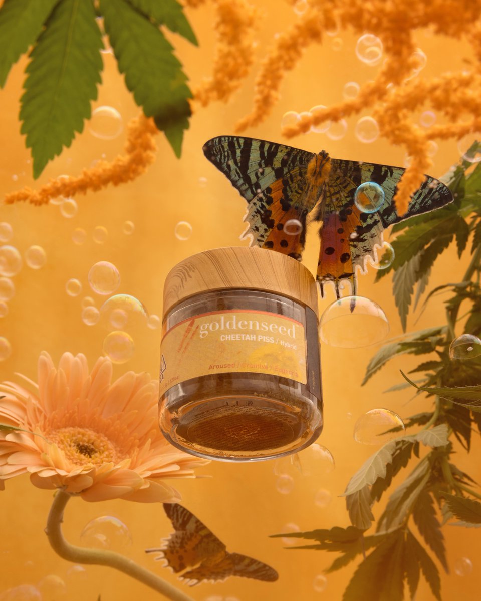 Experience the untamed energy and euphoria of Cheetah Piss, a strain that roars with citrusy zest and a lighting fast euphoria! Perfect for those seeking a powerful, uplifting experience. Get ready for a burst of energy and creativity! 🌱🐆✨

21+ NOTHING FOR SALE