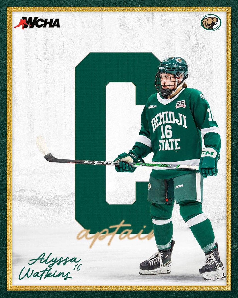 Bemidji State Women’s Hockey tweet media