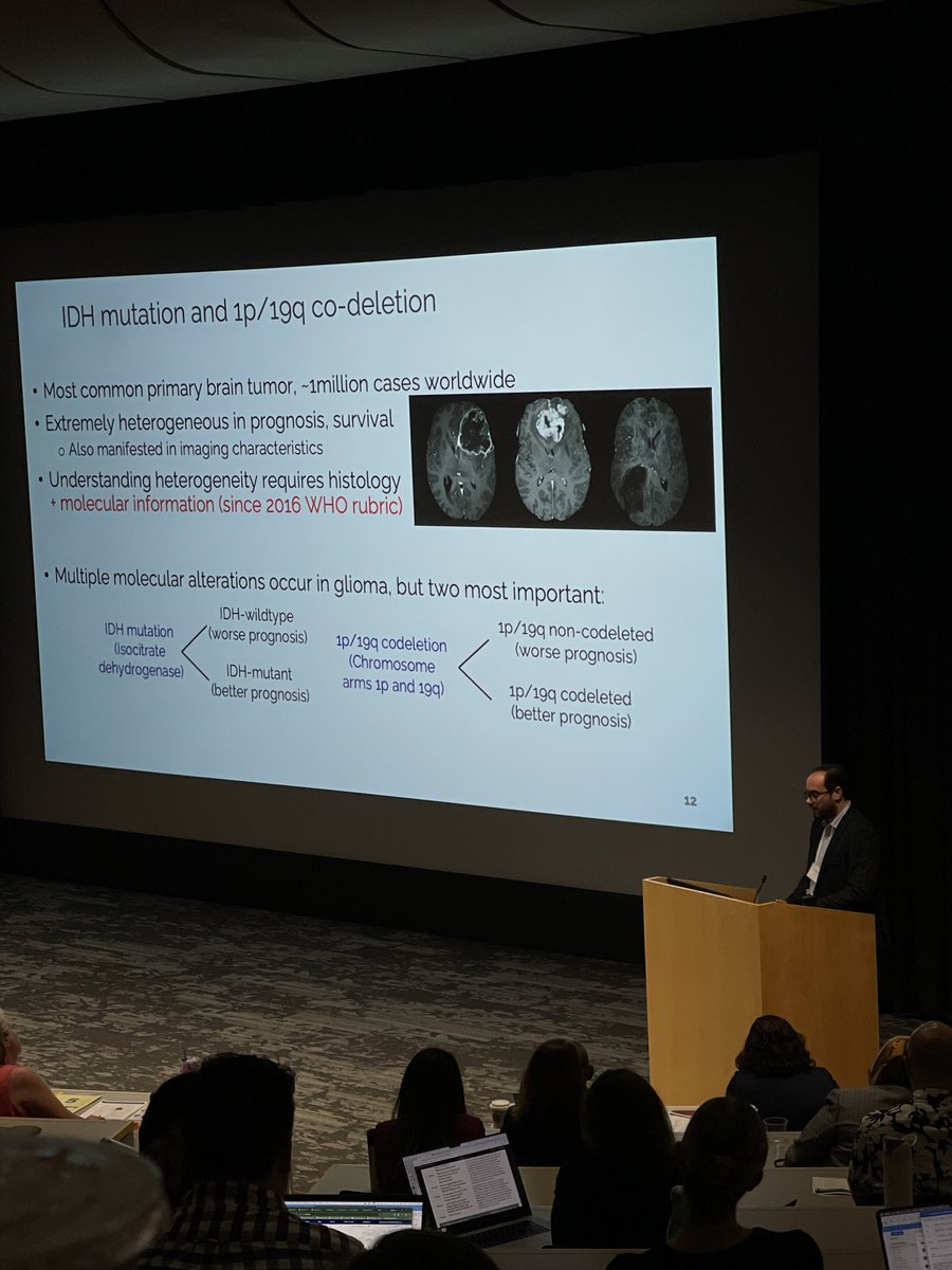 aabani's tweet photo. .@ArisSotiras presenting MINDS lab work on leveraging AI for intra-cranial tumor imaging analysis at @MIRimaging Symposium. Work spearhead by @Satrajit_C and Peijie Qiu. https://t.co/p2OnJ6GYzx