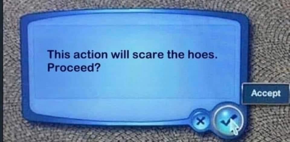 OCTAVlUSOTTO's tweet image. 