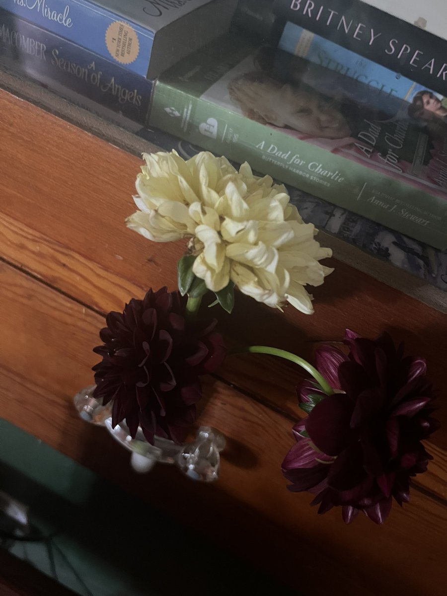 Flowers from my Dad