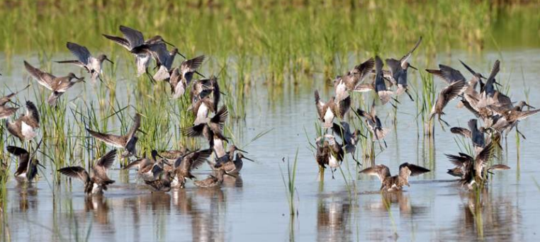 Natural Resources Conservation Service tweet media