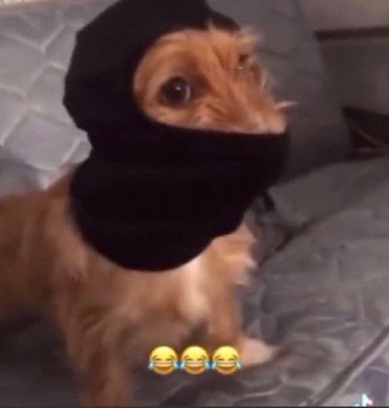 wavefrvr's tweet image. 