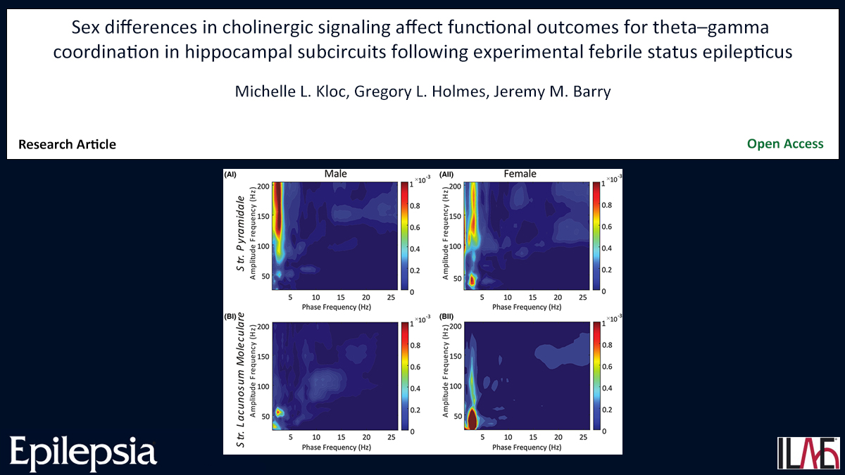 Key point: There are significant sex differences in cognitive outcomes post-FSE, where females fare better than males. doi.org/10.1111/epi.18… #epilepsy #acetylcholine #febrilestatus #hippocampus #muscarinic #thetagammacoupling #ilae @IlaeWeb @epilepsiajourn @WileyNeuro