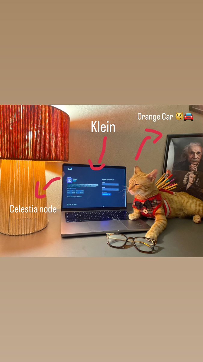 This cat is ACTUALLY installing @CelestiaOrg node