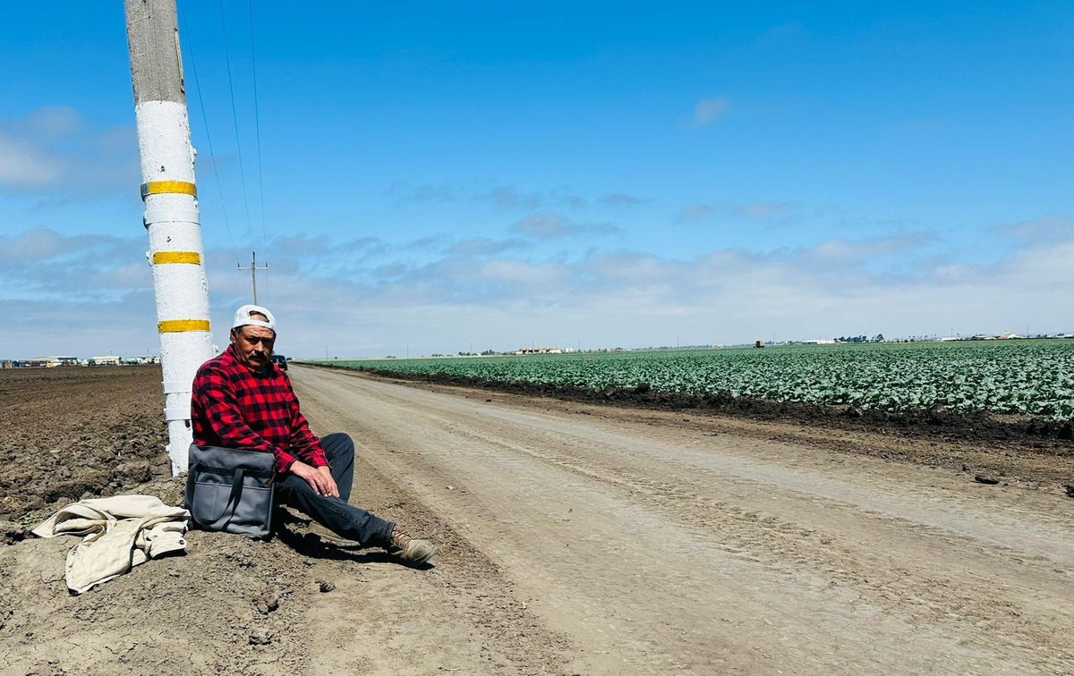 Conrado has been cutting lettuce for 30 years in the Salinas CA area. He works 8-10 hours a day, 5-6 days a week. He shares that it is hard work because he has to bend down all day long. In a 10 hour work day his crew of 38 cuts 1600 to 1800 boxes of romaine hearts. #WeFeedYou