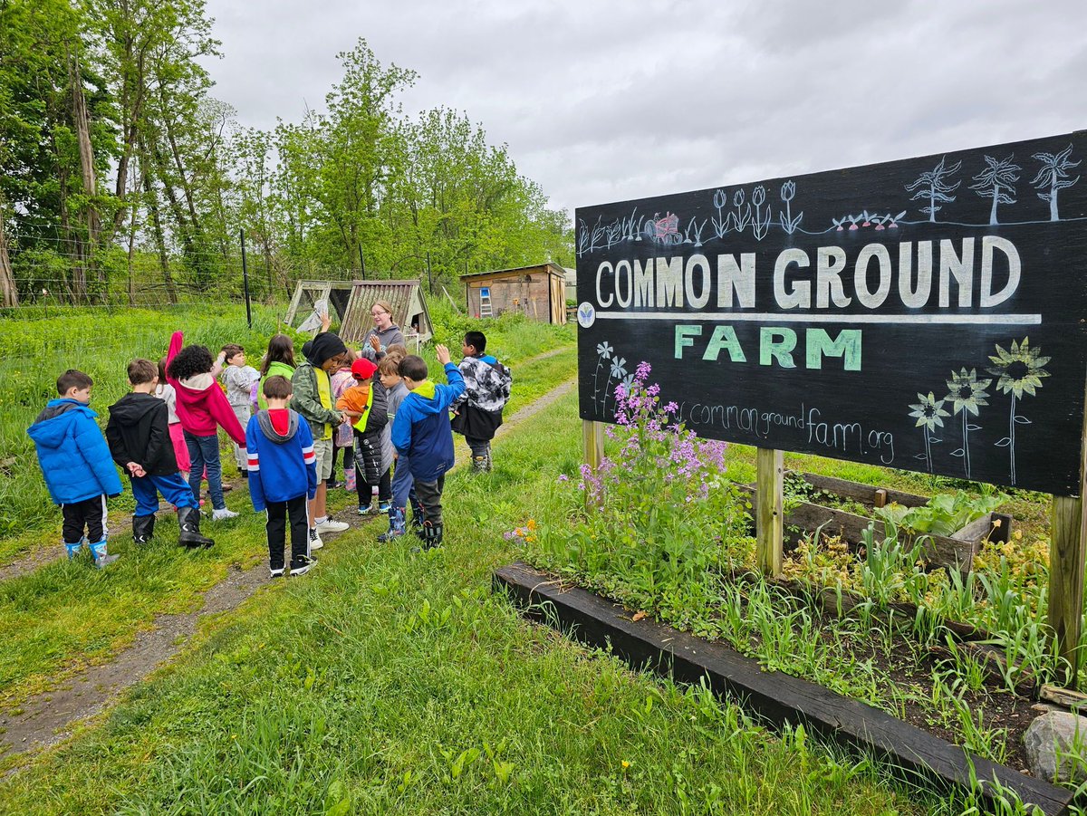 Pawling CSD tweet media