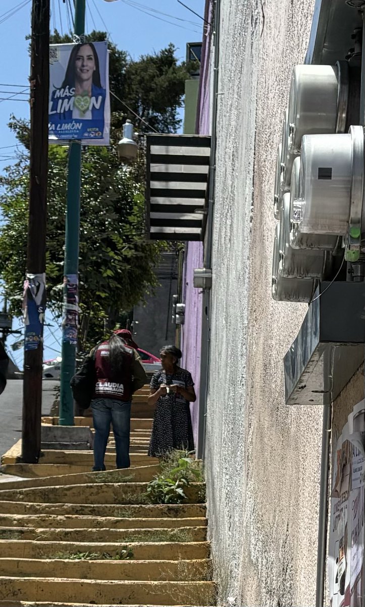 Una pregunta, los cuervos 🐦‍⬛ de la nación, son empleados federales, o amedrentadores profesionales, promovieron el voto a la #CandidataDeLasMentiras2