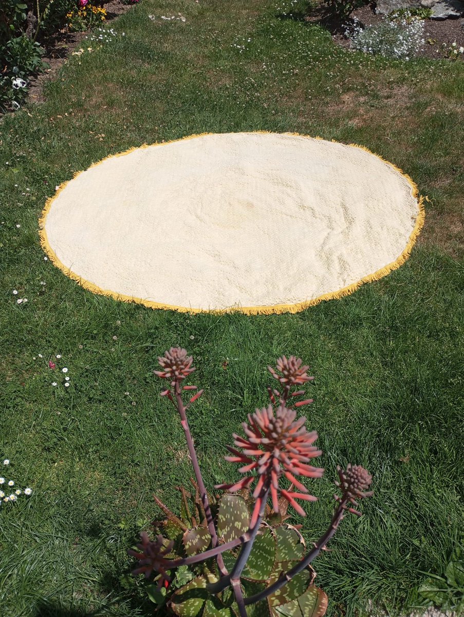 Primavera boreal
28 de mayo de 2024
Con el tiempo veraniego, !se lavan las faldas de la mesa camilla y se secan al sol...¡
Sierra Norte, Madrid, España