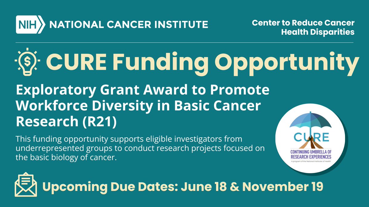 🚨Don't miss this #FundingOpportunity! The Exploratory Grant Award to Promote #WorkforceDiversity in Basic Cancer Research (R21) invites applications from investigators from diverse populations with an interest in researching the basic biology of cancer: cancer.gov/about-nci/orga…