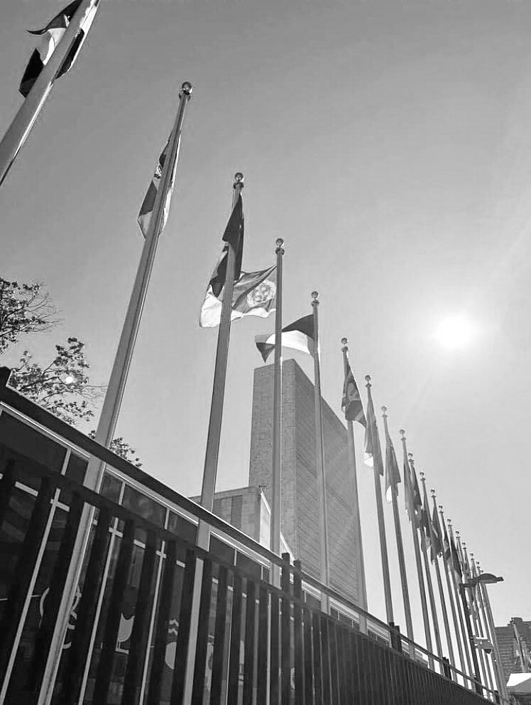 Today in History May 28 1993 #Eritrea became 182nd member of the United Nations and its flag was raised at #UN HQ in New York. The same date, Eritrea became 52nd member of the OAU (now #AU) and the Eritrean flag at the OAU HQ in Addis Ababa was raised on 4 June. @Erihistory