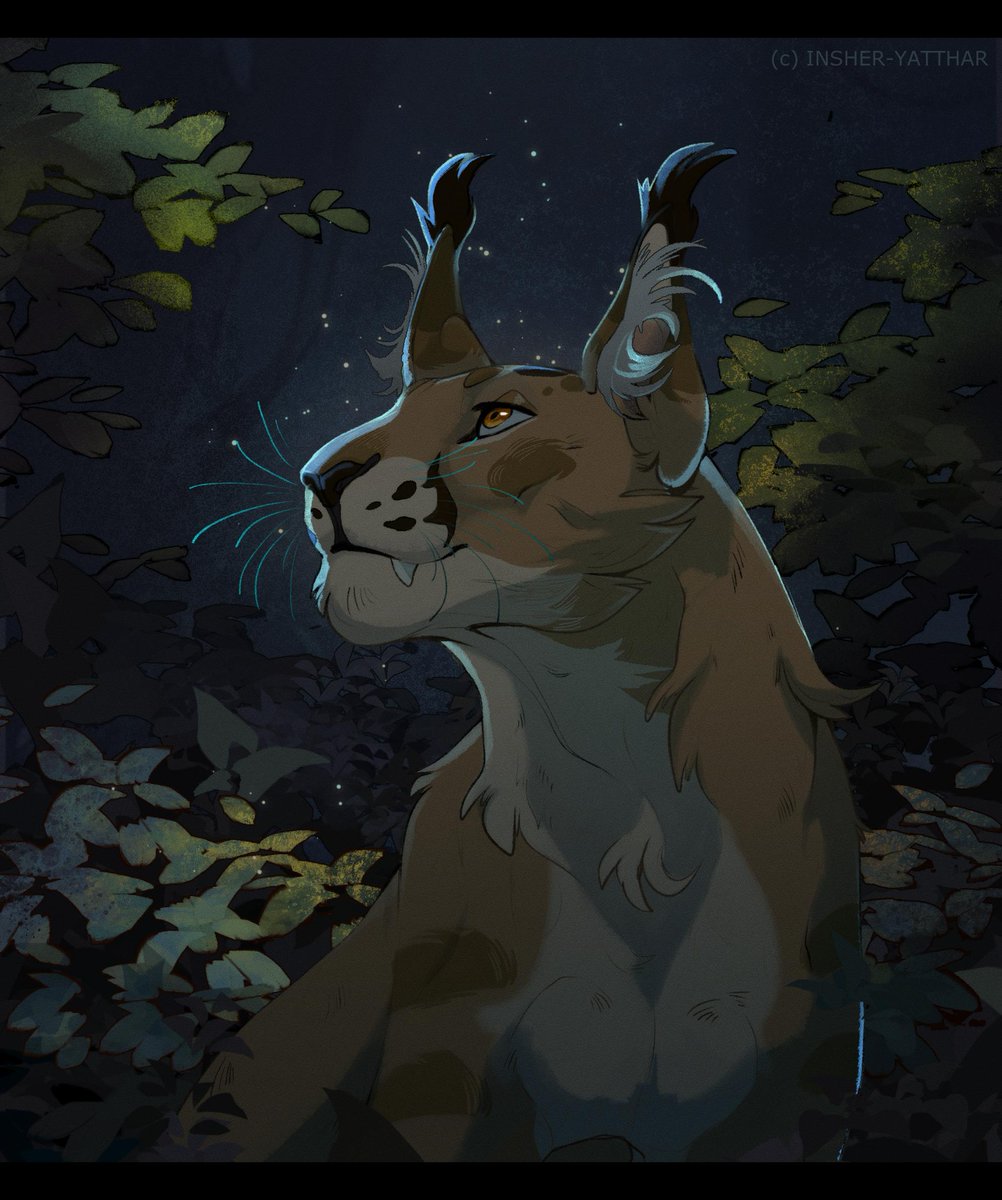 Shio しお ✨ tweet media