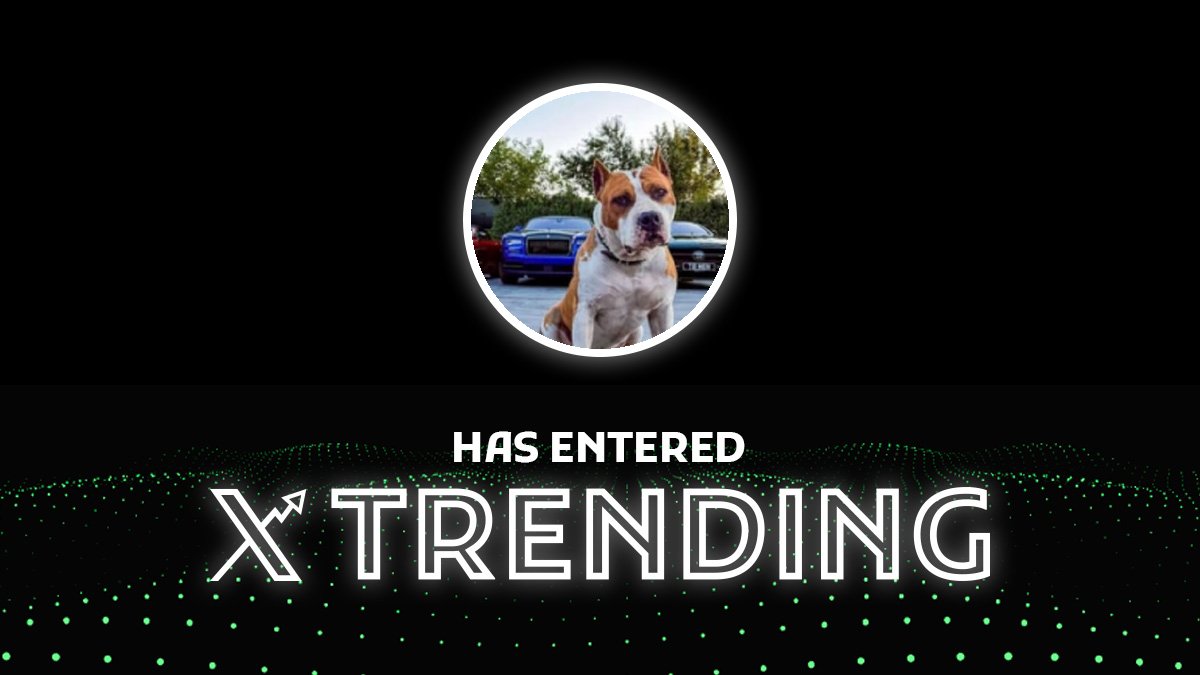 GetXTrend's tweet image. 🌟Welcome @tatesdogsol to X Trending🌟

💬 Telegram: t.me/Tatesdogsol
📈 Chart: dextools.io/app/en/solana/…

#TOPGDOG #TOPGDOG #TOPGDOG