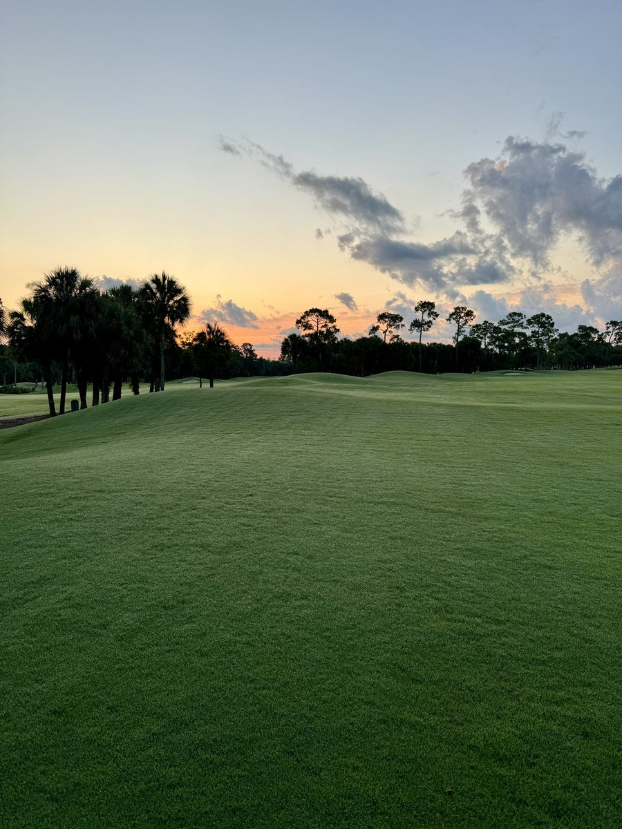 Sunrise on the first day of the first week-long summer closure at #OldeFloridaGolfClub #favoritetimeofday @GCSAA #golfcoursesuperintendent @FGCSA #myfloridamorning #officeviews @TifTufBermuda