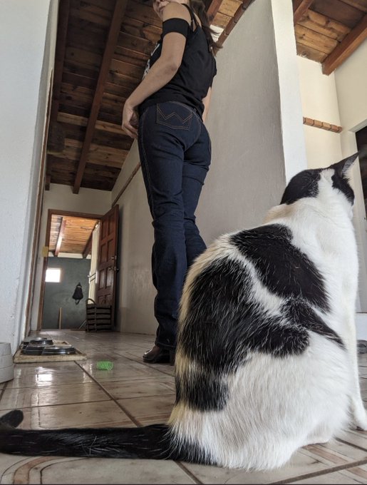 Trying to take pics https://t.co/zlWVi1Ddjp