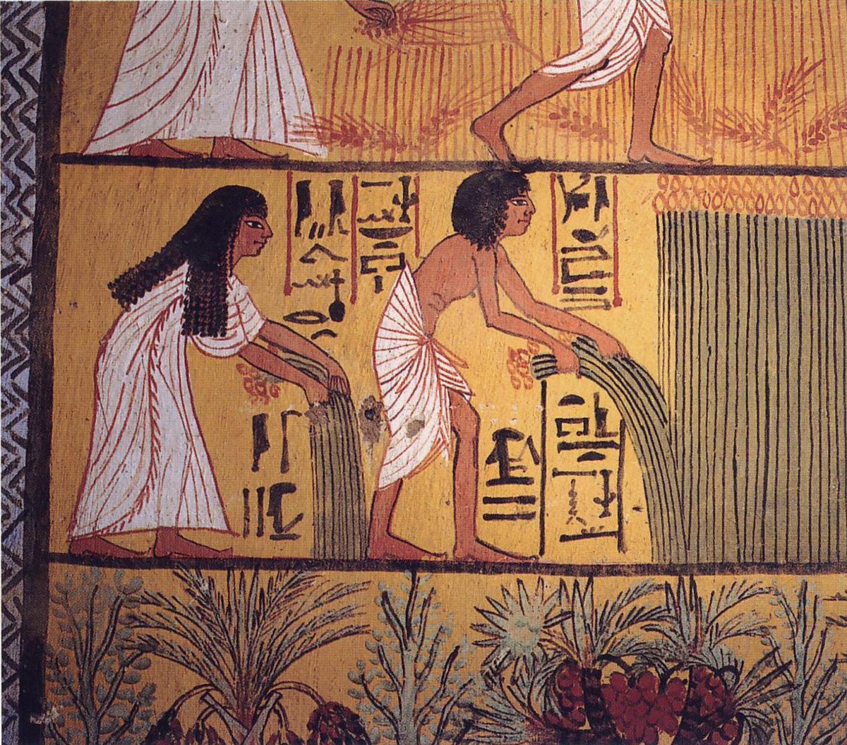 Ancient Egyptian peasants harvesting papyrus from the 19th dynasty.