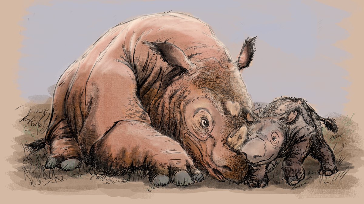 'Baby Mine'

Sumatran Rhinos are critically endangered. Recently 2 were born, Anggi and Indra.

This piece is dedicated to them.

10 $XTZ

Hand drawn in Procreate. No AI used

objkt.com/asset/KT1TSvFw…

#NFTdrop #NFT #Willco #Williverse #TEZOSTUESDAY