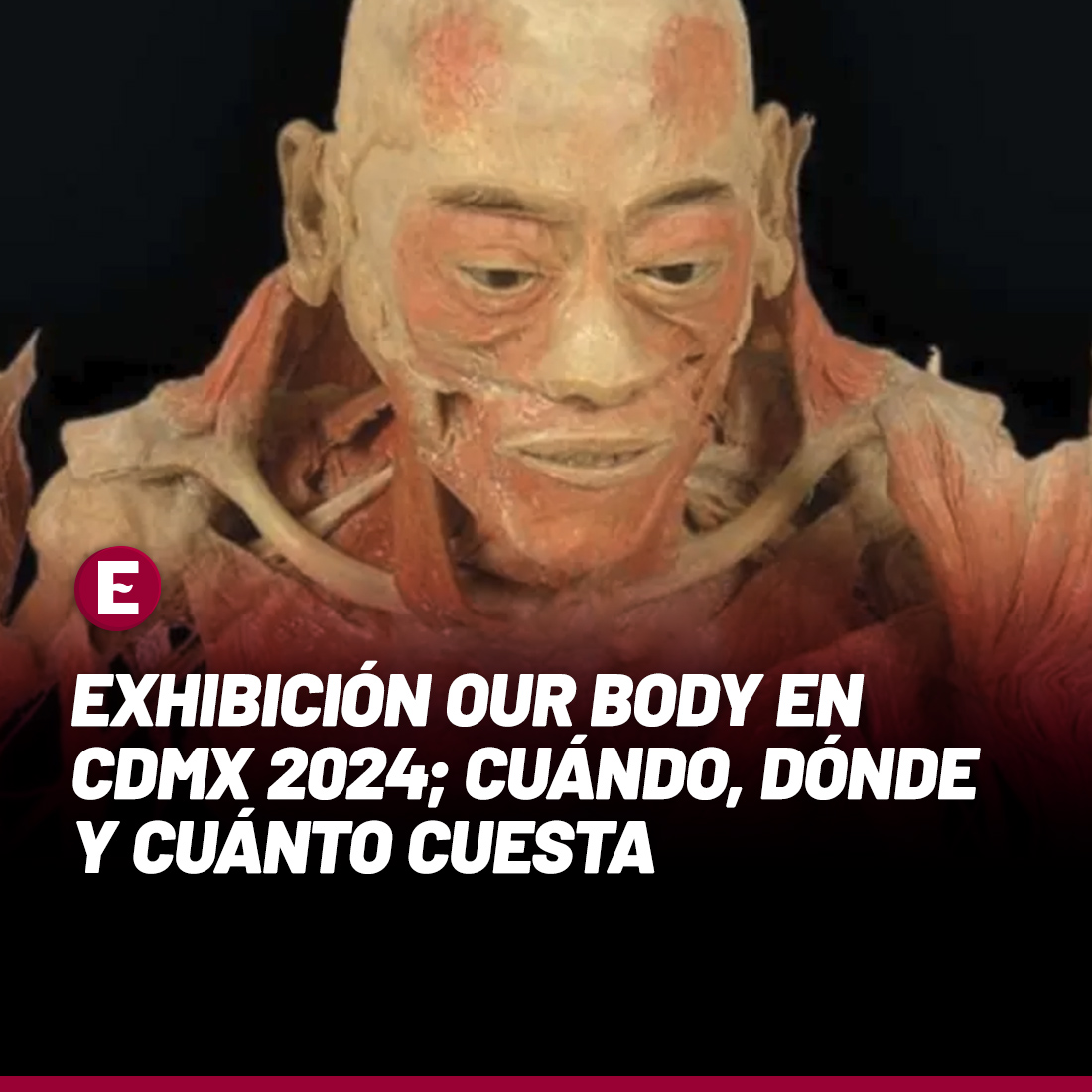 Una de las exposiciones en #museos más inquietantes del mundo estará en la Ciudad de México (#CDMX), este año 2024, se trata de ‘Our Body: El Universo dentro’, en la cual se pueden ver músculos, nervios y huesos de cuerpos humanos reales. 

Más info: goo.su/iv73Qo