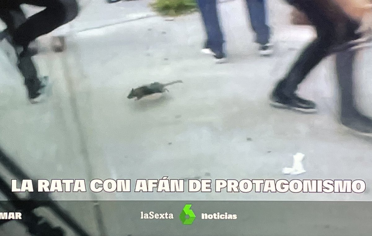 Que badúas? / AltriNon (@algareona) on Twitter photo 