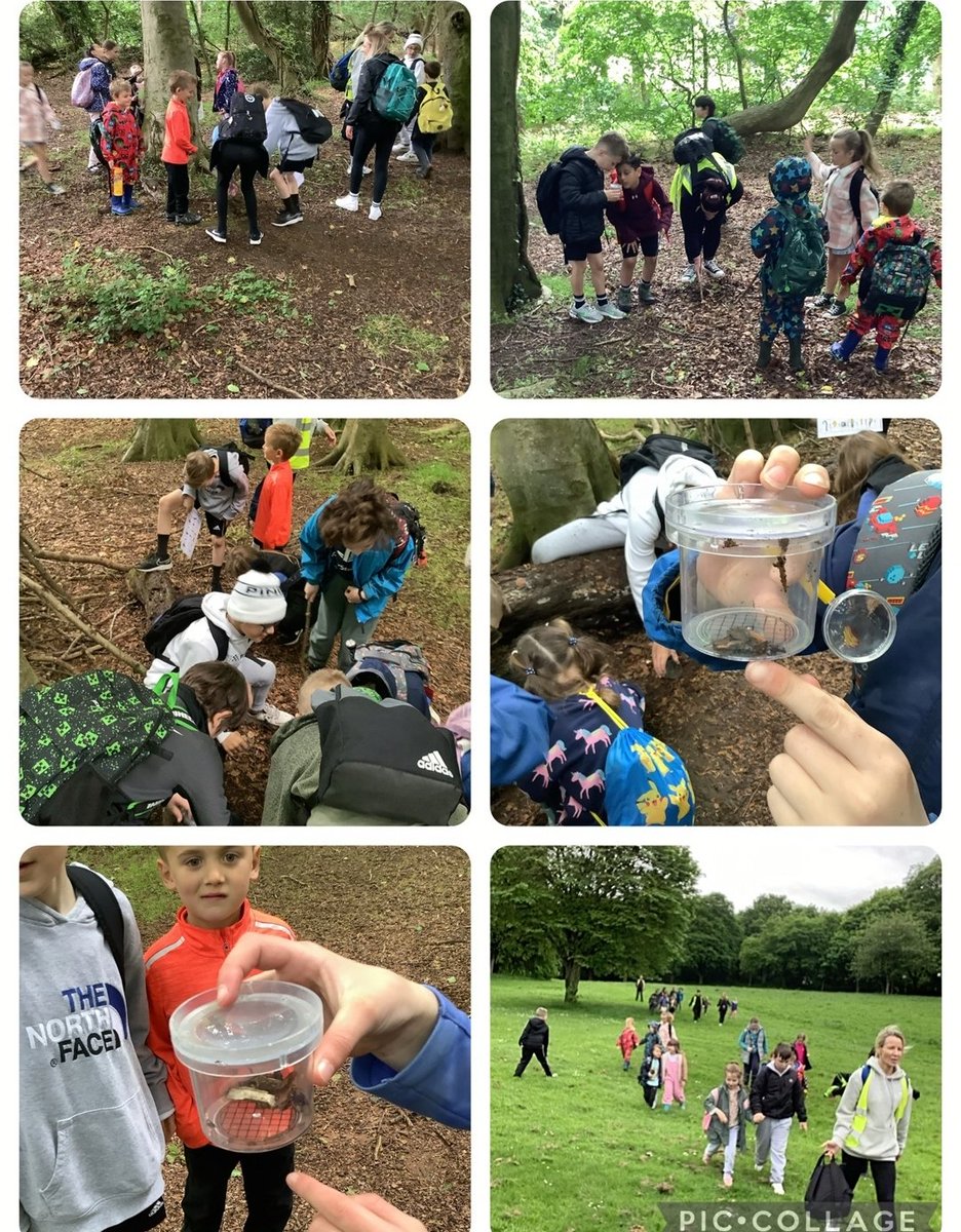 Thanks to all staff, parents and children for making Outdoor Learning Day happen.  The entire school were outdoors today, learning collaboratively, in paired classes, across Kirkcaldy! 
#outdooreducation