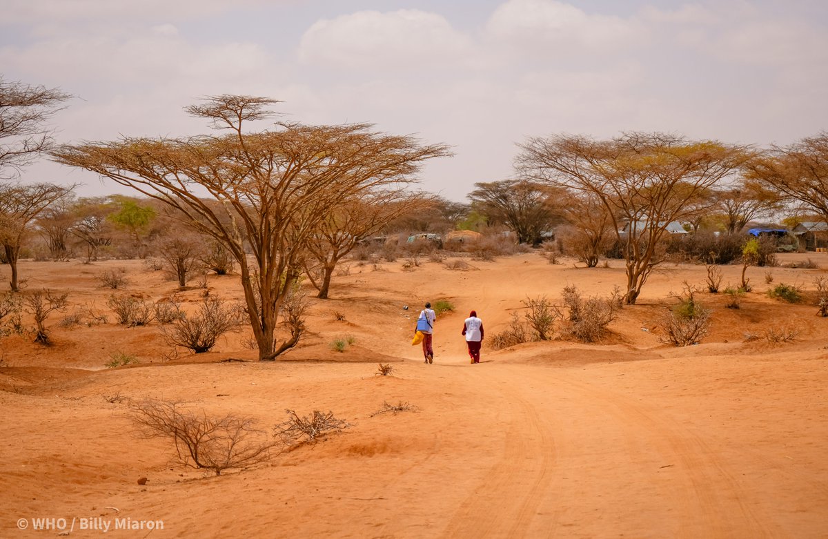 Delegates at the World Health Assembly #WHA77 approved a four-year, US$ 11.1 billion strategy for global health to promote, provide, and protect health and well-being for all people, with an emphasis on climate change, aging, migration, pandemic threats and equity, and adapted