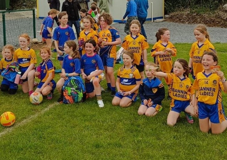 Banner Ladies tweet media