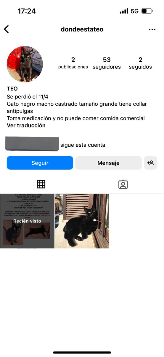 dahiacarrasco's tweet photo. @BelvedereGatos Hola! El gatito es de una amiga, lo siguen buscando 🥲

Le hicieron un ig para difusión 

Muchas gracias por compartir acá 💜 https://t.co/fNiU77wC47