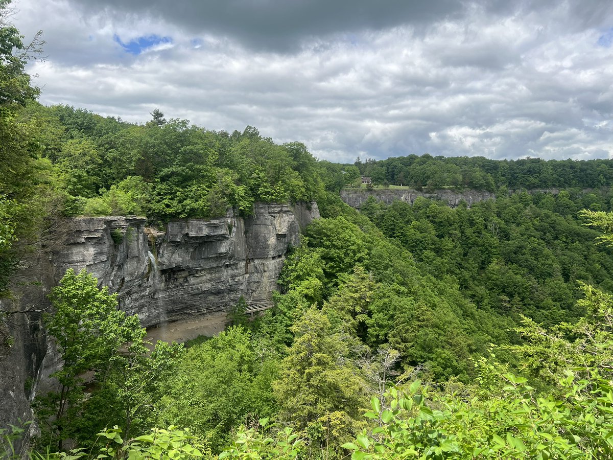 Greater Albany, New York Rainforest Region