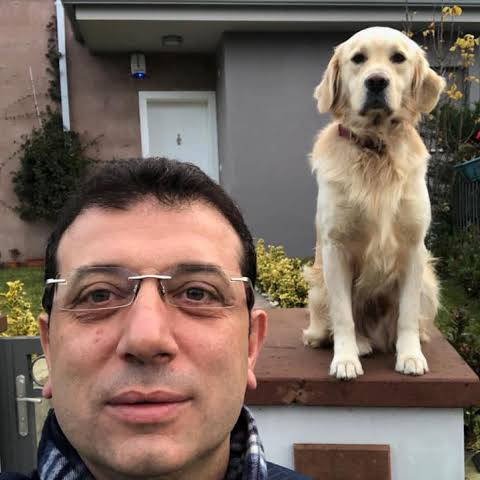 Ekrem İmamoğlu: (Sokak hayvanları yasası)

"Uyutmak ne demek? Milyonlarca hayvanı mı öldüreceğiz. Böyle insanlık olur mu? Çocuklar eve sokmaz bizi. 

Barınaklar, kısırlaştırma merkezleri kurmadan hayvan öldürmek hangi vicdana sığar."