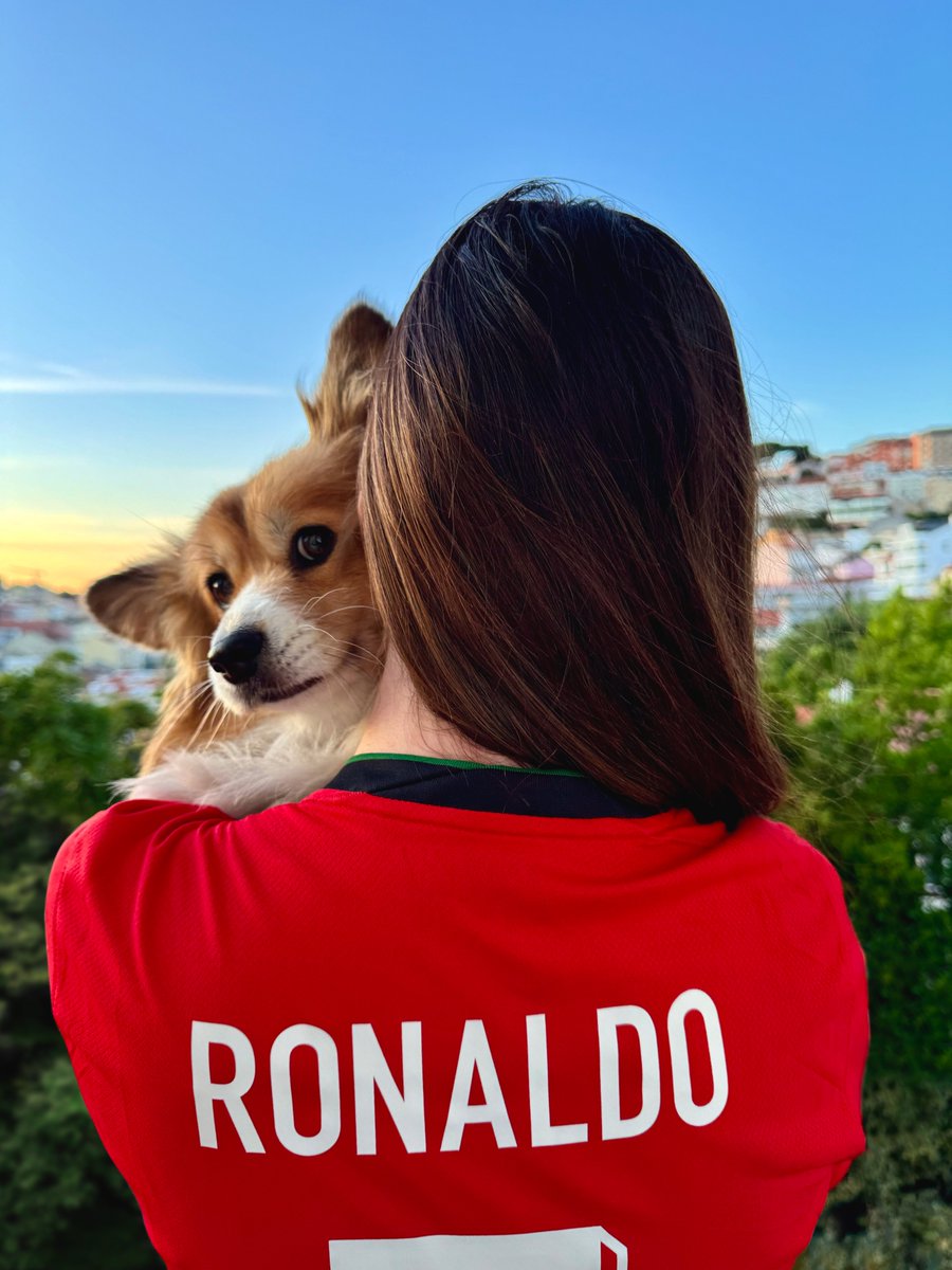 CorgiI tweet media
