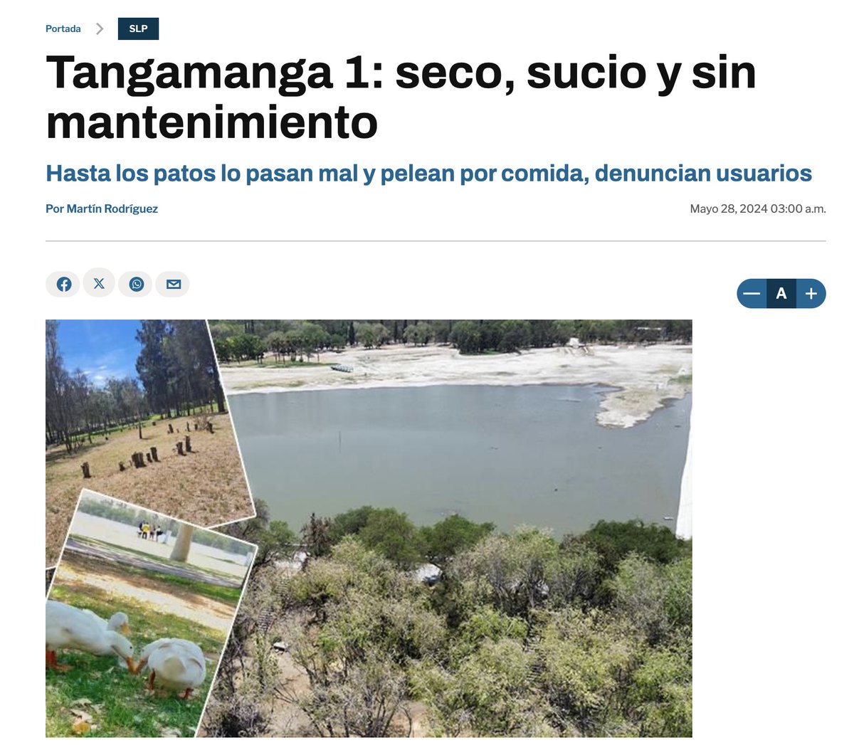 Quizá antes de querer 'rehabilitar' el Parque de Morales al que lo único que le falta es QUE LLUEVA.

El @GobEdoSLP debería meter mano al abandonado, triste y moribundo Parque Tangamanga.

Los patos están en una situación deprimente y se ha vuelto muy peligroso. HAGAN ALGO BIEN.